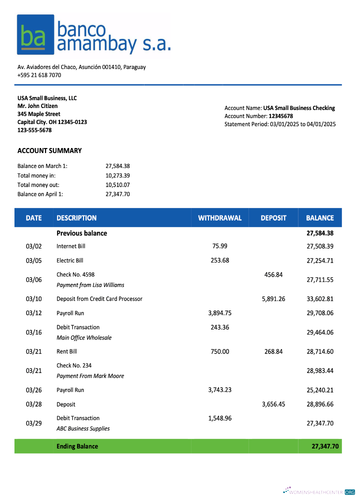 Download Paraguay Banco Amambay organization statement Word and PDF template Photoshop template